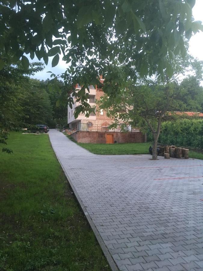 Vila Akademik A1 Sokobanja Buitenkant foto